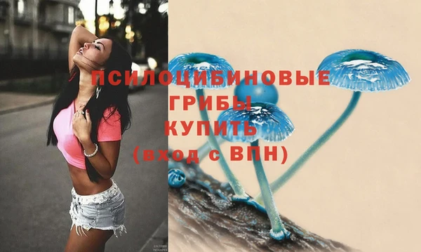 mdpv Протвино