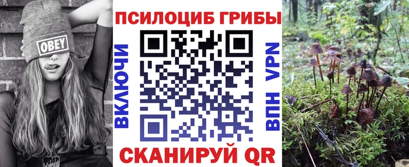 Галлюциногенные грибы MAGIC MUSHROOMS  Эртиль 