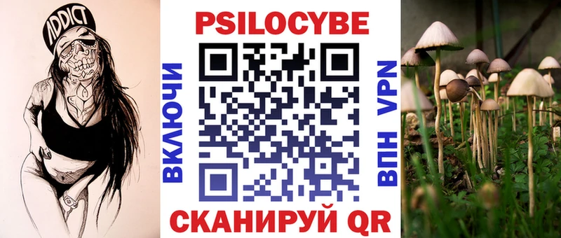 Псилоцибиновые грибы мицелий Эртиль