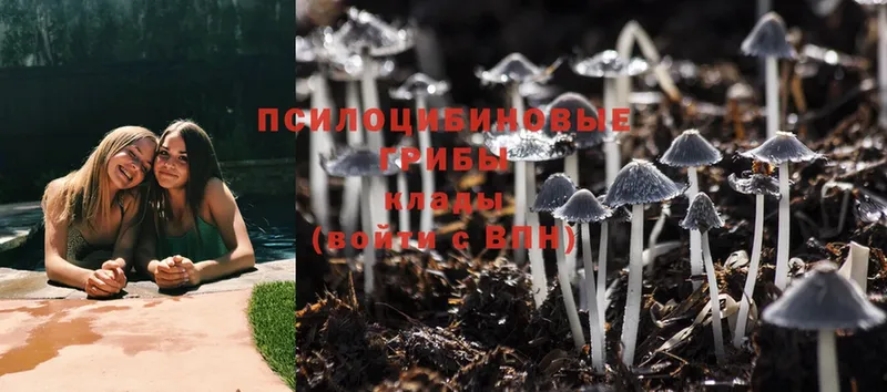 сколько стоит  hydra сайт  Псилоцибиновые грибы MAGIC MUSHROOMS  Эртиль 